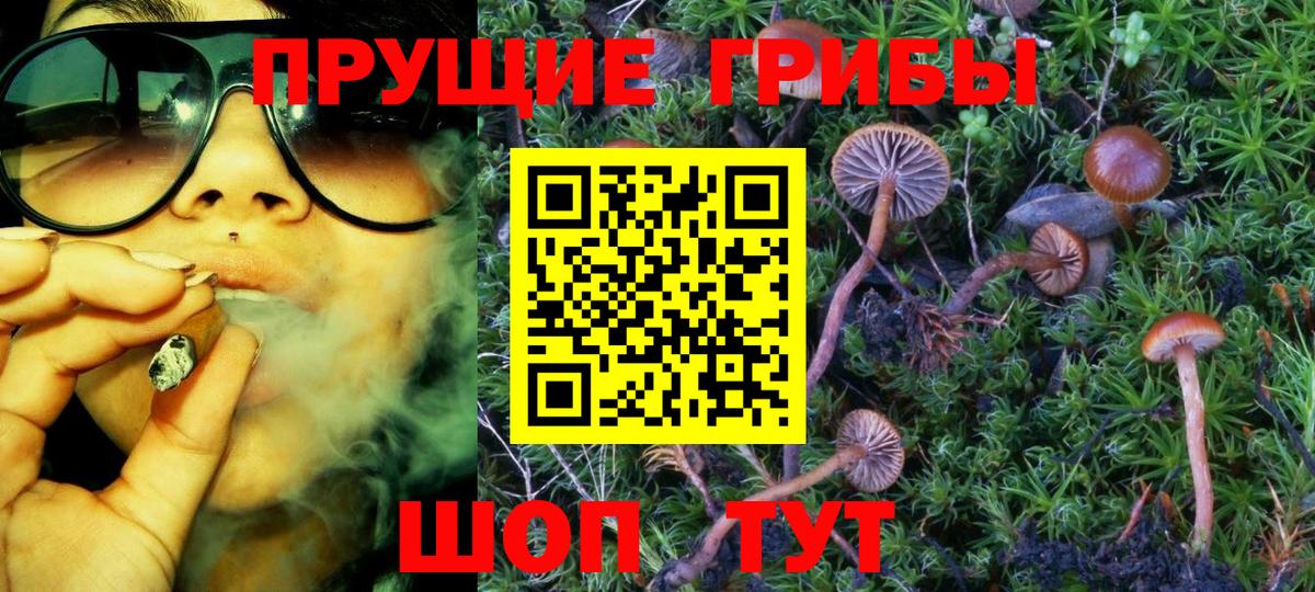 Улан-Удэ  Псилоцибиновые грибы Psilocybe  Псилоцибиновые грибы мухоморы  Вход с VPN 
