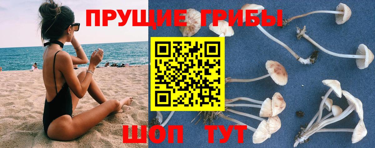 Галлюциногенные грибы мицелий Улан-Удэ